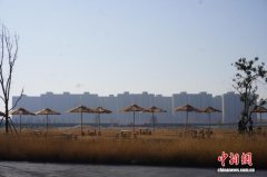 大河村国家考古遗址公园焕新开园 史前文明“可触可感”